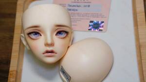  abroad cast doll switchdoll ⑤( head + present I only )