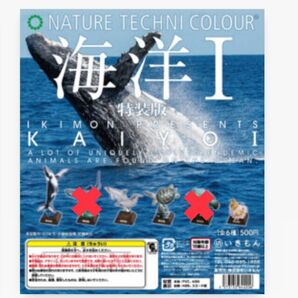 4種のみ【NTC 海洋1 特装版】ネイチャーテクニカラー いきもん ガチャ クジラ イルカ ウミガメ クマノミ いきもの大図鑑 