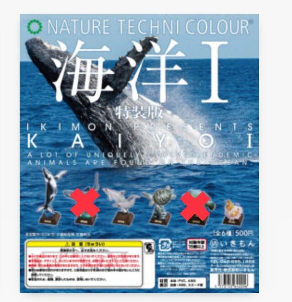 4種のみ【NTC 海洋1 特装版】ネイチャーテクニカラー いきもん ガチャ クジラ イルカ ウミガメ クマノミ いきもの大図鑑 