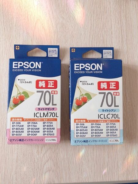 推奨期限切れ EPSON 純正インクカートリッジ