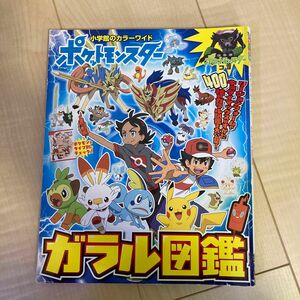 ポケットモンスターガラル図鑑