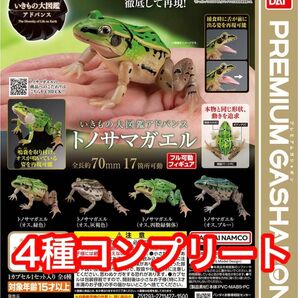 いきもの大図鑑アドバンス トノサマガエル　全4種 フルコンプ　ガチャ カプセルトイ　バンダイ　BANDAI フィギュア