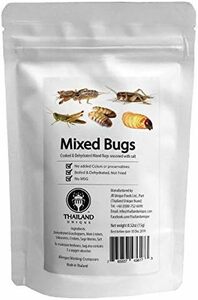 食用 昆虫ミックス 15g(Mixed Bugs) (5種類)昆虫食