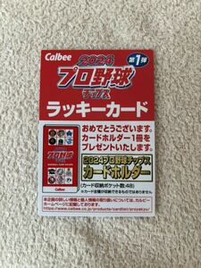 カルビー プロ野球チップス 2024 第1弾 ラッキーカード