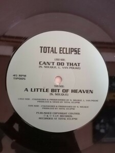 90s ゴアトランス　12 Total Eclipse Can't Do That 
