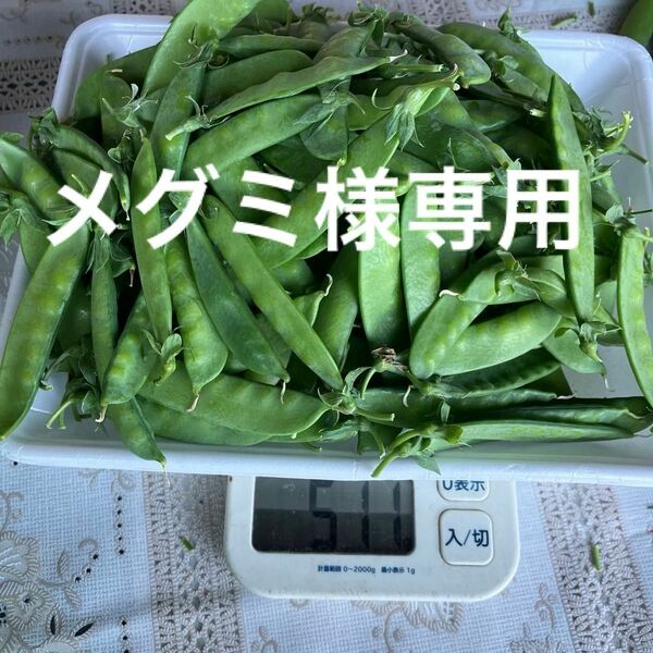 スナップエンドウ250g 絹さや250g 計500g 農薬不使用