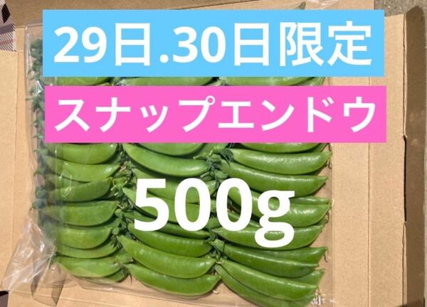 スナップエンドウ　500g サヤエンドウ　野菜　無農薬