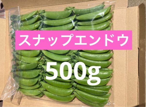 スナップエンドウ　500g 農薬不使用　サヤエンドウ　野菜