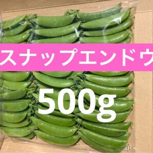 スナップエンドウ　500g 農薬不使用　サヤエンドウ　野菜　