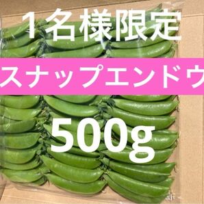スナップエンドウ　500g サヤエンドウ　野菜　農薬不使用