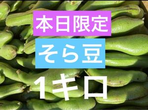 そら豆　1キロ　無農薬　豆　野菜