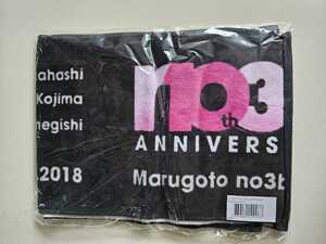 ノースリーブス 10th ANNIVERSARY 限定 マフラータオル 未開封 AKB48 小嶋陽菜 高橋みなみ 峯岸みなみ