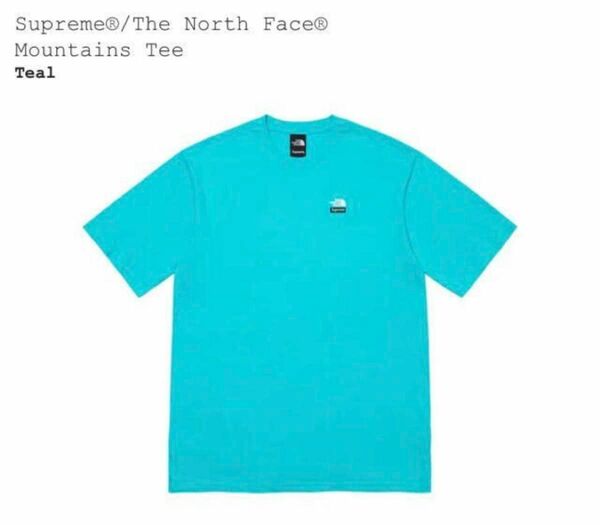 ★Supreme The north face Mountains Tee L 新品未使用 Tシャツ