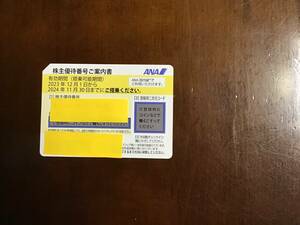 ANA株主優待券　未使用2024年11月30日迄有効1枚　番号通知可　送料無料