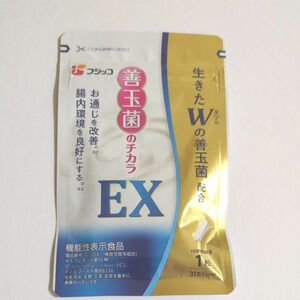 善玉菌のチカラEX 31粒　