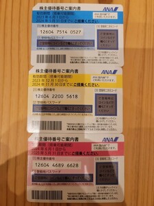 ANA 株主優待券 3枚　送料無料 全日空　株主優待