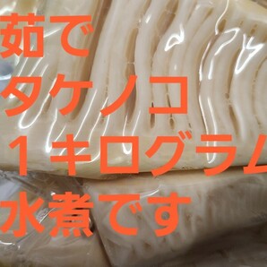 【1kg】静岡県産 たけのこ 水煮 採れたて パウチの画像1