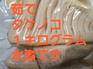 【1kg】静岡県産 たけのこ 水煮 採れたて パウチ
