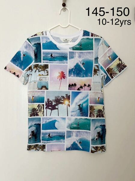 新品★H&M グラフィック 半袖Tシャツ★145-150 サーフ　surf パームツリー