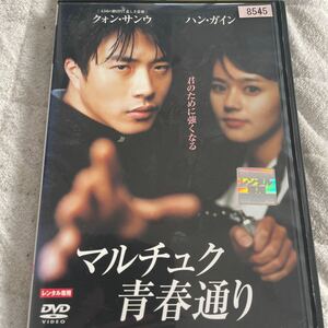 DVD マルチュク青春通り　レンタル版　よ123