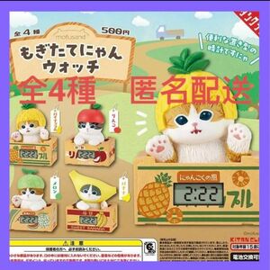 mofusand もぎたてにゃんウォッチ★全4種　新品