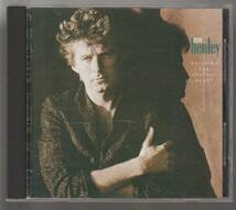 ◆同梱発送可　CD ドン・ヘンリー: Don Henley Building The Perfect Beast 国内盤 解説/歌詞/対訳付　中古美品_画像1