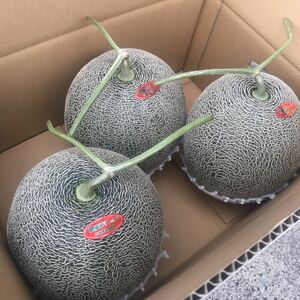  super large sphere!. after green melon! production person direct sale.
