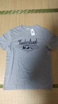 Timberland ティンバーランド　グレー　Tシャツ　Mサイズ　未使用品_画像1