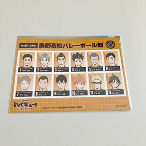 劇場版ハイキュー ゴミ捨て場の決戦 選手名鑑風ブロマイド　烏野高校