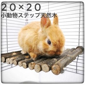 ペット 小動物 ステップ 足場 丸太 天然木 木 遊び場 20×20