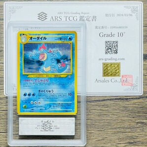 【ARS10+】うずまきホロ Spiral holo メガニウム/バクフーン/オーダイル Meganium/QTyphlosion/Feraligatr 旧裏 鑑定書 ARS鑑定10+ 芸術品の画像8