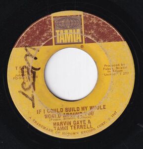 Marvin Gaye & Tammi Terrell - If I Could Build My Whole World Around You / If This World Were Mine (C) SF-CL188