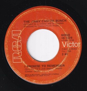 The Jimmy Castor Bunch - Troglodyte (Cave Man) / I Promise To Remember (B) SF-CN484