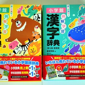 〈2冊セット〉 小学館『例解学習国語辞典 第十ニ版 オールカラー』『例解学習漢字辞典 第九版 新装版 オールカラー』〈未使用〉