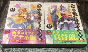 最新刊含む ハヤテのごとく 完全版 12巻 13巻 セット