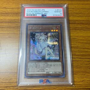 PSA10 セット 遊戯王 灰流うらら ガーデンローズメイデン 霊獣使い ウェン スーパーパラレル シークレットレア ウルトラレア の画像2