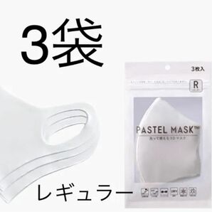 【新品未使用】PASTEL MASK パステルマスク　レギュラー ホワイト
