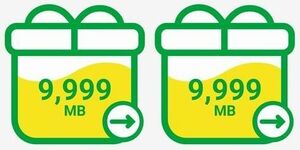 mineo パケットギフト 約20GB (9,999MB×2) マイネオ