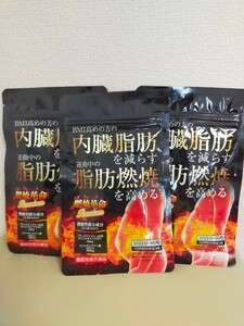 【即日発送】燃焼革命Premium　3袋