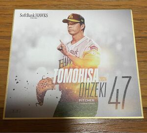 福岡ソフトバンクホークス2024 トレーディングmini色紙　大関友久投手