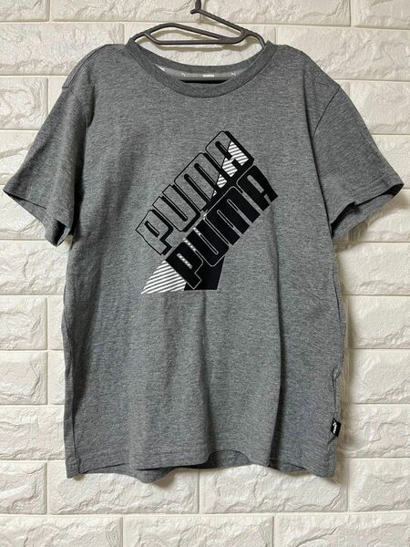 PUMA プーマ 半袖 半袖シャツ Tシャツ キッズ 140