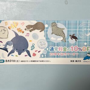 新江ノ島水族館(えのすい)10%割引券