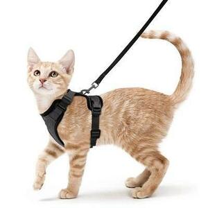  cat for Harness touch fasteners S 60. black cat Lead 