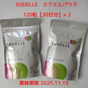 大塚製薬 エクエル パウチタイプ 120粒 × 2