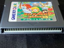 A/1220 美品 ゼルダの伝説 夢をみる島 夢をみる島DX ゲームボーイ ソフト 任天堂 Nintendo GB_画像8