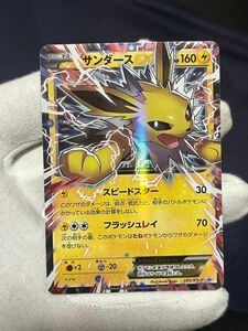 ポケモンカード サンダースex 195/XY-P プロモ