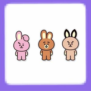 BT21 台湾限定　防水デコステッカー　COOKY