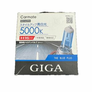 GIGA スタイルアップ　青白光色　5000K H16