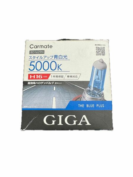 GIGA スタイルアップ　青白光色　5000K H16