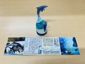  Kaiyodo new .no island aquarium to ..2 band u dolphin . sweatshirt half road sea pig bottle cap Aramata Hiroshi ..KAIYODO solid living thing llustrated book 2 band u dolphin 